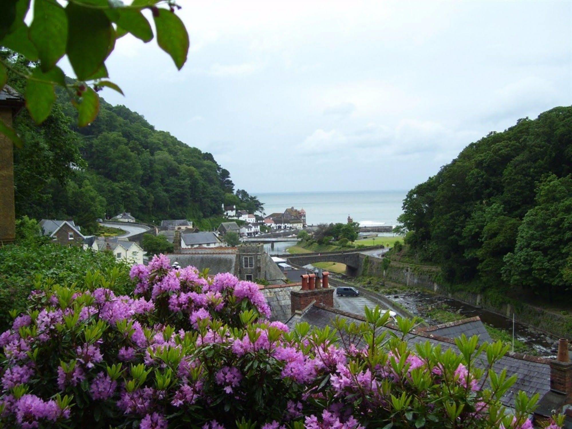 Hillside House - Guest House リントン エクステリア 写真